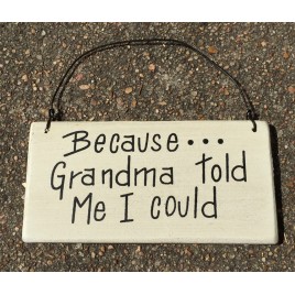 Because...Grandma Told me I could wood sign 