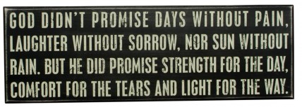 Primitive Wood Box Sign 15889 God Didn't Promise Days without Pain