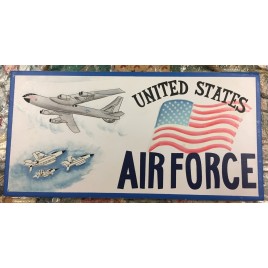 P81 - United States Air Force