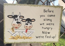 WS108 Before you came along we were hungry...Now we're FED Up! wood sign 